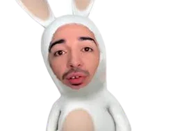 :Lapin_raptor: