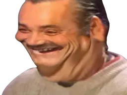:risitas_ayao: