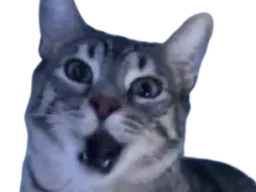 :CS_Choc: