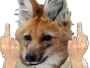 :tonyfuck: