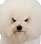 :Yatangakli: