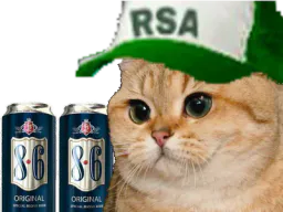:ChalcoolRSA: