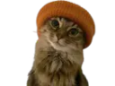 :chat_bonnet_: