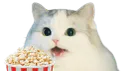 :Cattopop: