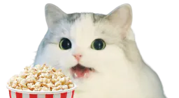 :Cattopop: