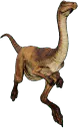 :Gallimimus: