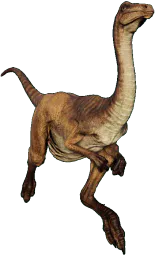 :Gallimimus: