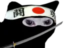 :chat_ninja: