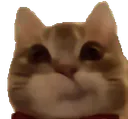 :MouaisMouais: