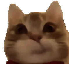 :MouaisMouais: