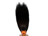 :risicheveux: