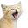 Photo de profil de Desertin