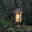 Photo de profil de Lampe-