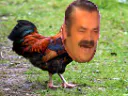 :coq: