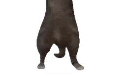 :chatgun2: