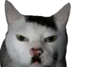 :chadolf: