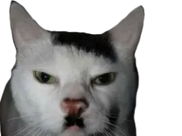 :chadolf: