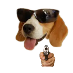 :Chien_menace: