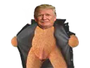 :trump_exhib_: