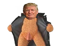 :trump_exhib_: