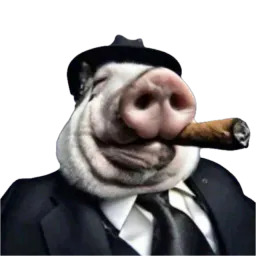 :cochonhalal: