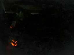 :fdv_gif2: