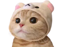 :Chat_bonnet: