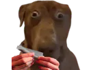 :Teddi-roule: