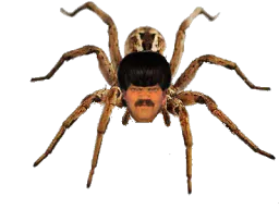 :araignee_pill: