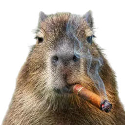 :Coco_cigare: