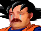 :goku_pleure:
