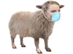 :AnyaMouton: