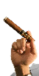 :CigareeInverse: