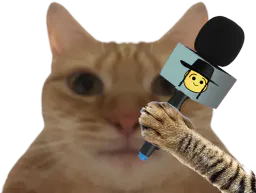 :chatjuif: