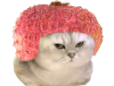 :chatbrushinglitchi: