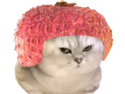 :chatbrushinglitchi: