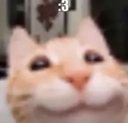 :silly_cat:
