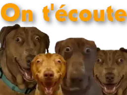 :teddiecoute:
