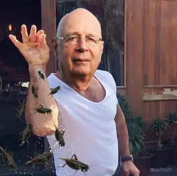 :SaltSchwab: