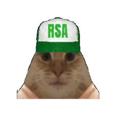 :chats-0tout: