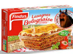 :Lasagne: