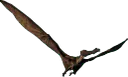 :Cearadactylus: