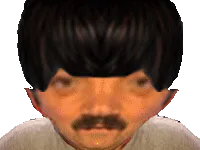 :selzoom: