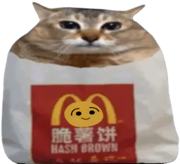 :chatfrite: