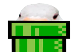 :oie_tuyau: