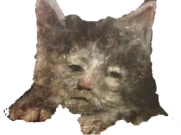 :chat_special:
