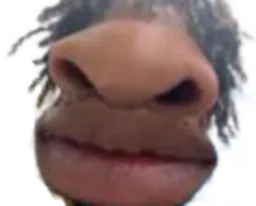 :Singe_Noir: