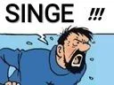 :Haddock_singe: