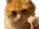 :chatremi: