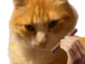 :chatremi: